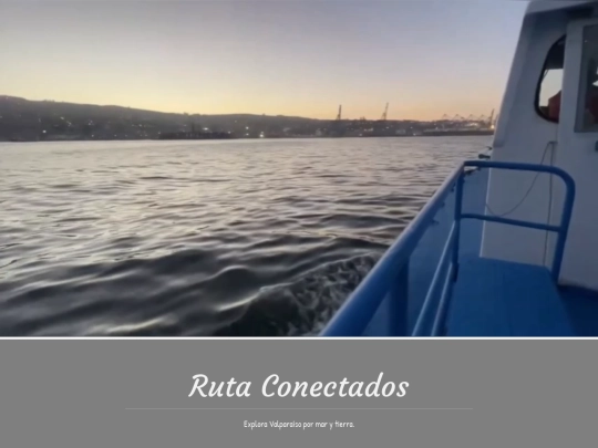 mauco screenshot
