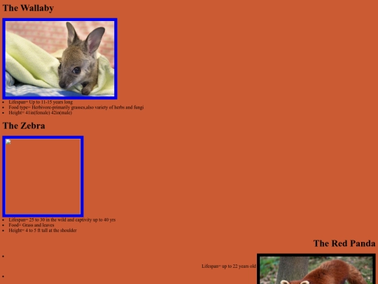 ANIMALS.html/HomePage screenshot