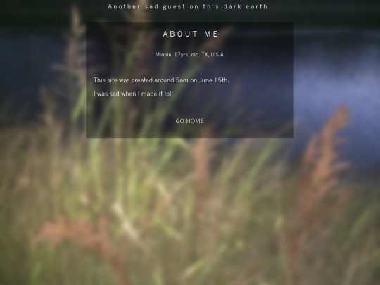 pages/abt screenshot