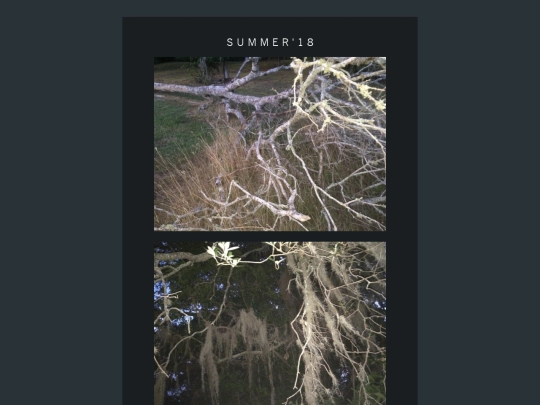 pages/summer18 screenshot
