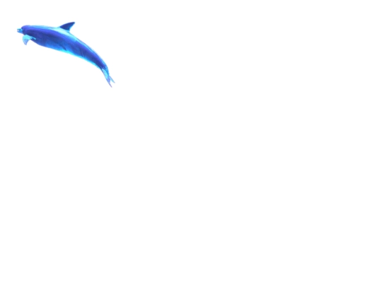 new screenshot
