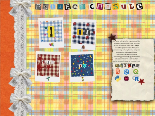 aprojectcapsule screenshot