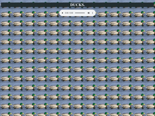 ducks screenshot