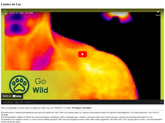 luzRT screenshot