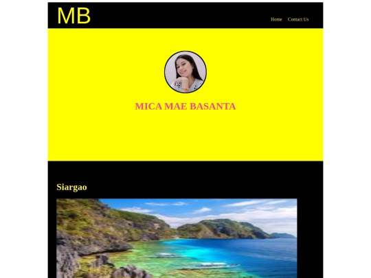 siargao screenshot