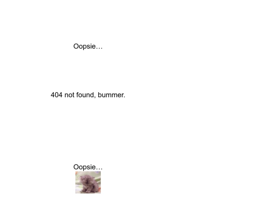 404 screenshot