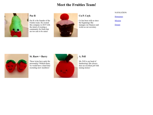TeamMemberBioPage screenshot