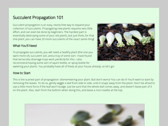 blog-post screenshot