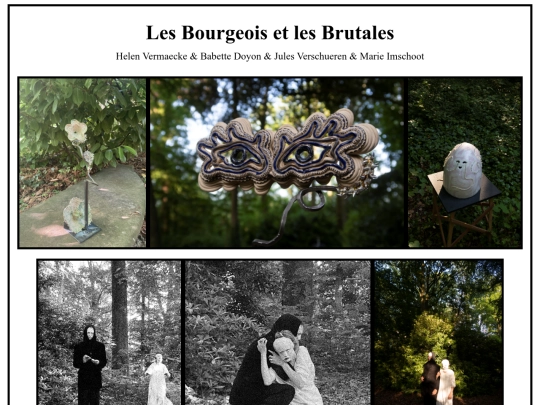 lesbourgeoisetlesbrutales screenshot