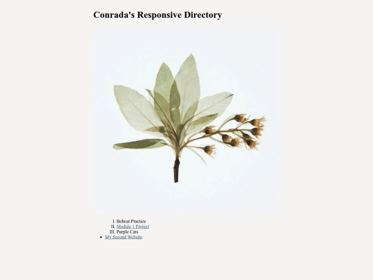 responsive-directory screenshot