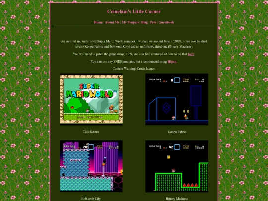 projects/SMWHack screenshot