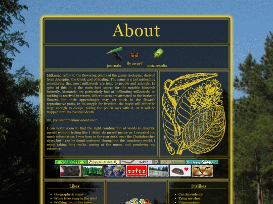 about screenshot