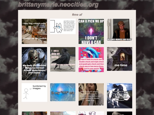 pages/about/gpoy screenshot