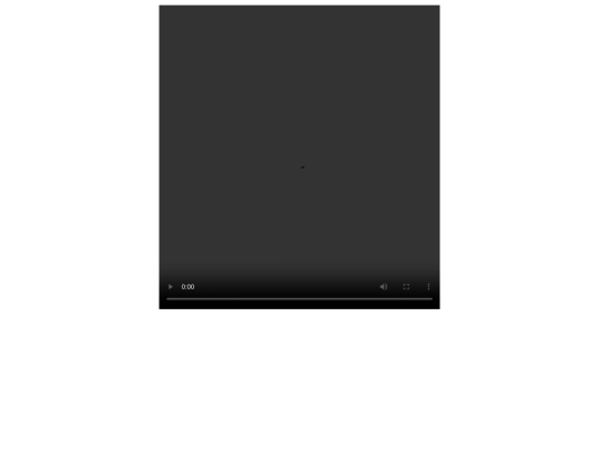 video1 screenshot