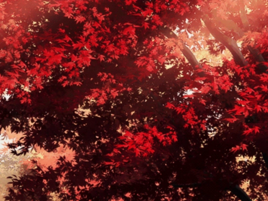 new screenshot