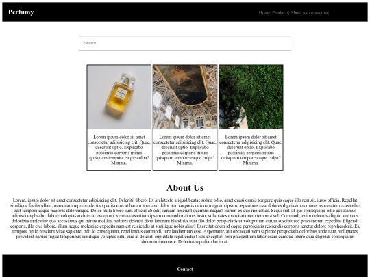 css screenshot