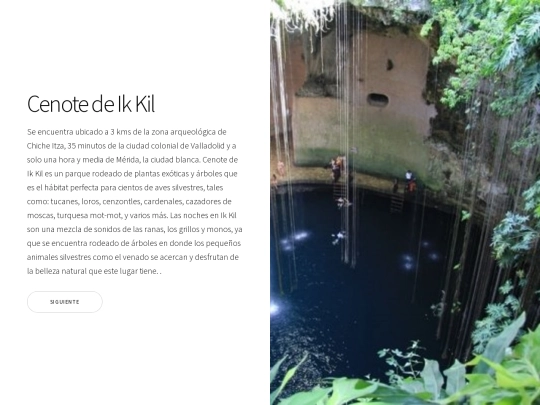patron screenshot