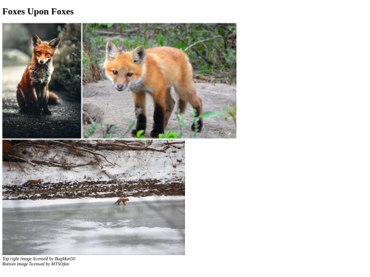 image-gallery screenshot
