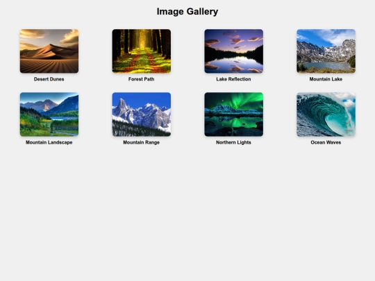 Image Gallery/img screenshot