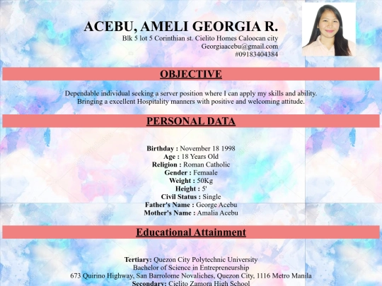 resume2 screenshot