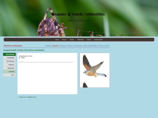 projects screenshot