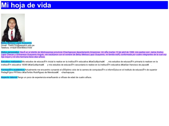 Hoja de vida_HTML./Mi_primera_pagina screenshot