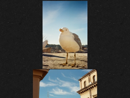 visual/photography/excursions screenshot