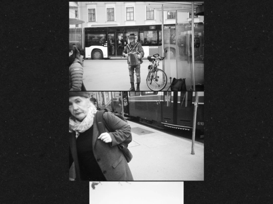 visual/photography/stray_dog screenshot