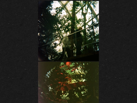 visual/photography/sttc screenshot