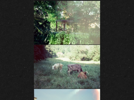 visual/photography/the_last_summer screenshot