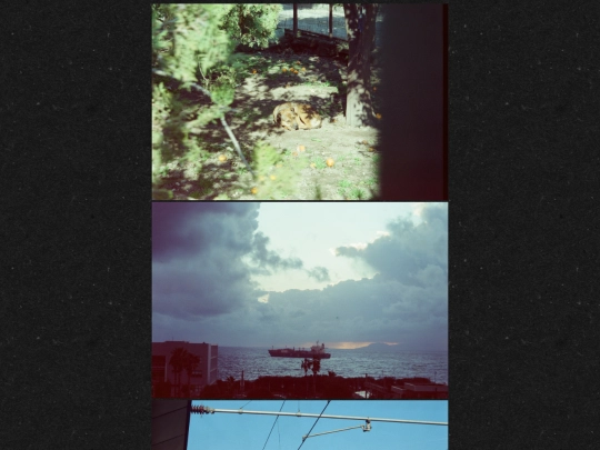 visual/photography/vhwmi screenshot