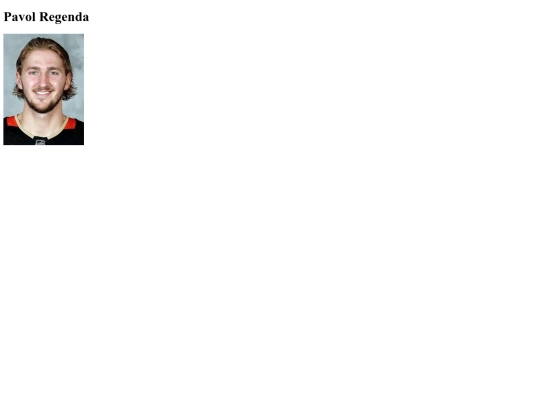 PavolRegenda23 screenshot
