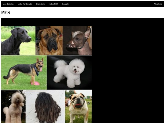 Pesstranka screenshot