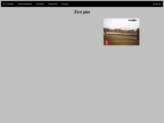 Plotdostihy screenshot