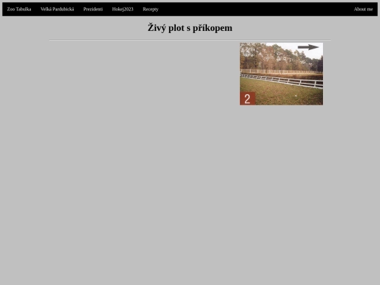 Plotdostihy2 screenshot