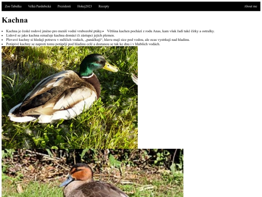 kacka screenshot