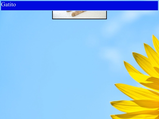 Prueba/pr screenshot