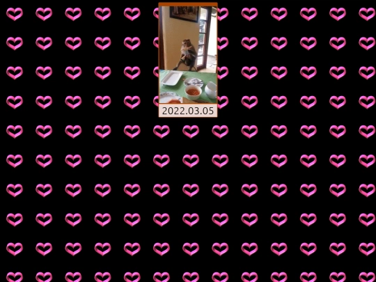 monkey5 screenshot