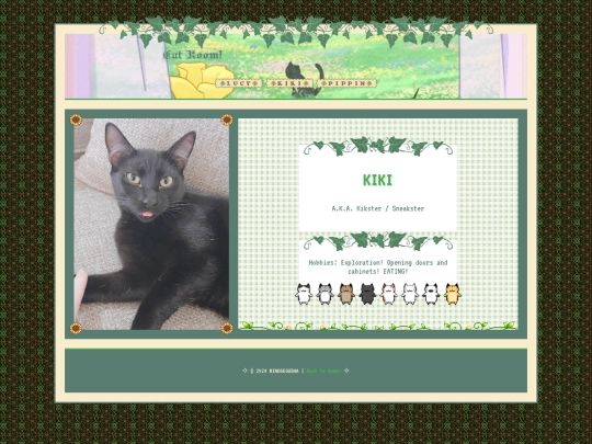 kiki_cat_room screenshot