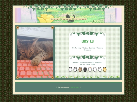 lucy_cat_room screenshot
