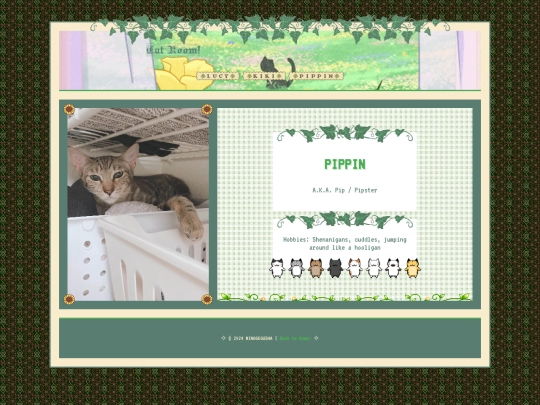 pippin_cat_room screenshot