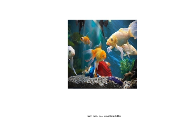 flexible_puzzle_assignment/flexible_puzzle screenshot