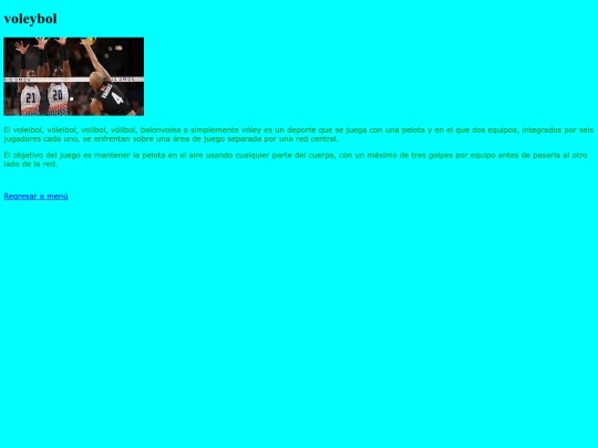 voleybol screenshot