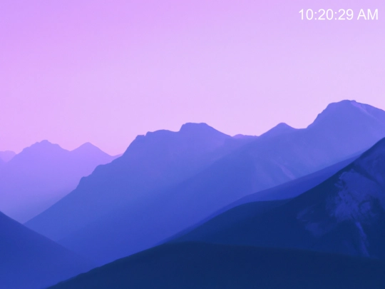 archive/test/gallery screenshot