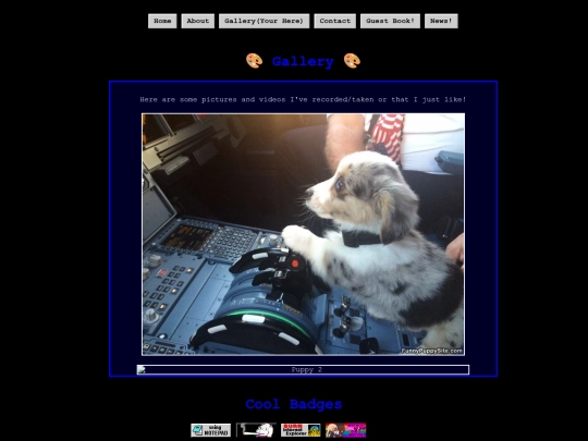 Gallery screenshot