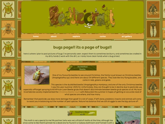 bugs screenshot