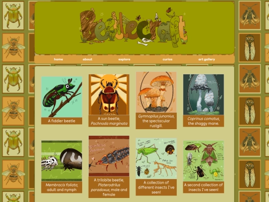 gallery screenshot
