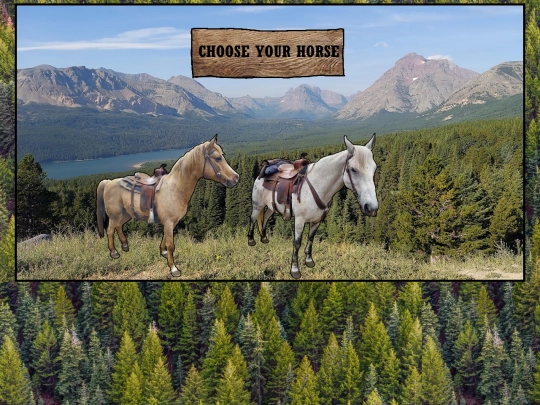 chooseyourhorse screenshot