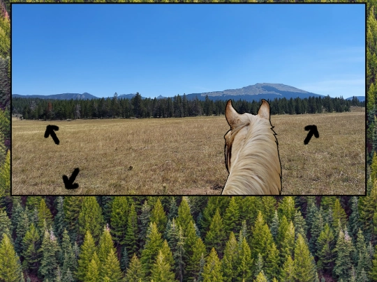 east2 screenshot