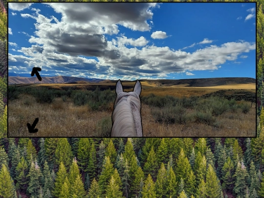 easteast1 screenshot